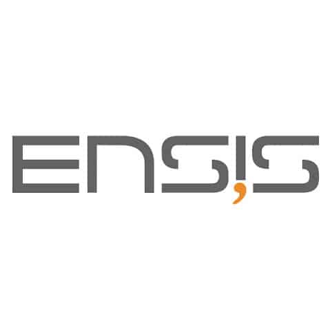 Ensis Fcs Twin Fins 4.5'' 2023 - NO FOTO ENSIS - ENSIS