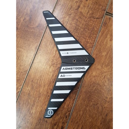 Armstrong Flying wing 200 CM2 - 20240109 173848 -