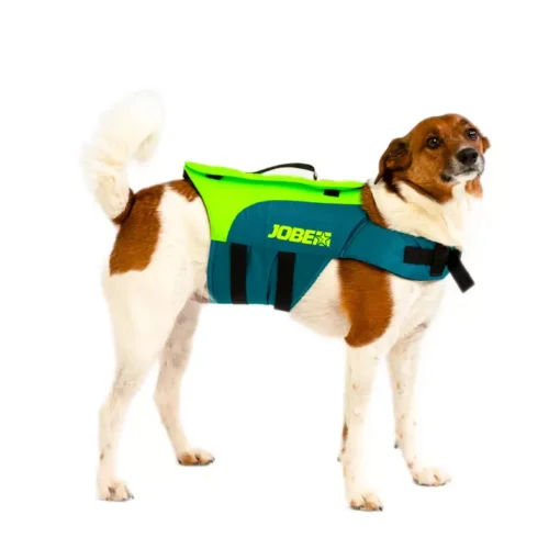 Pet Vest Lime Teal - 240023001 zoom - Jobe