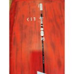 KT Ginxu 2 Pro Carbon 82L - Imagen 6